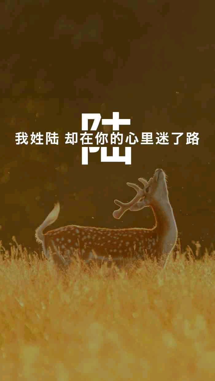 我姓陆却在你心里迷了路