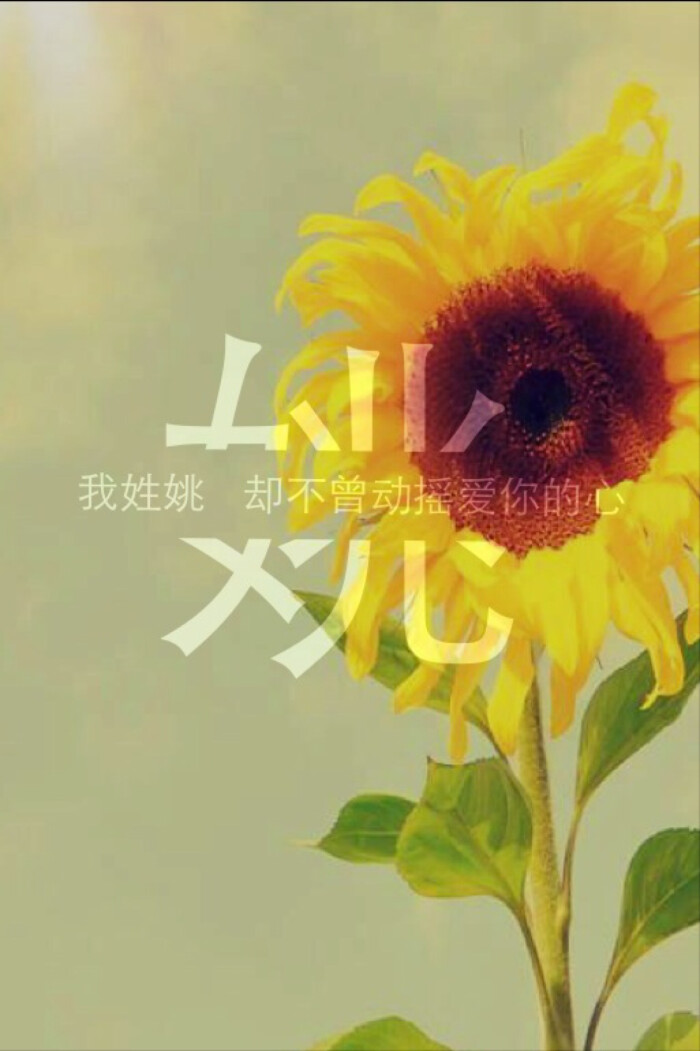 自己制作的姓氏壁纸
