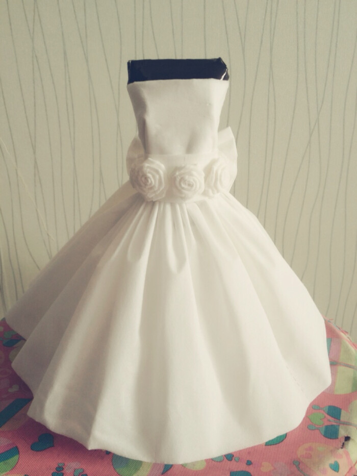 用卫生纸做的婚纱简单_小学生用卫生纸做裙子