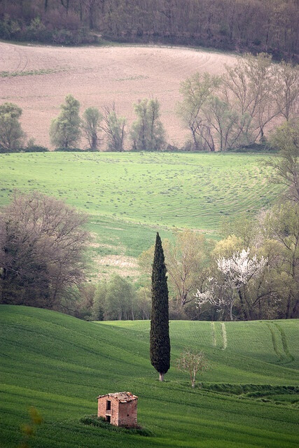 tuscany, italy.托斯卡纳在意大利中部的西…-堆糖