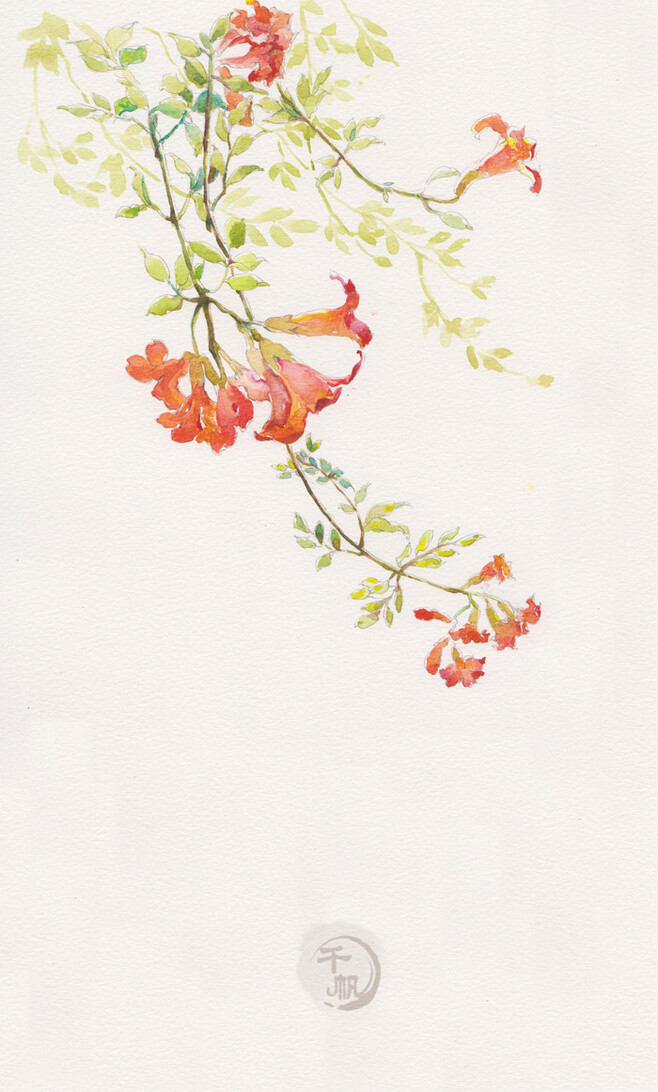 花草,水墨,封面,淡雅,唯美,插画,古风