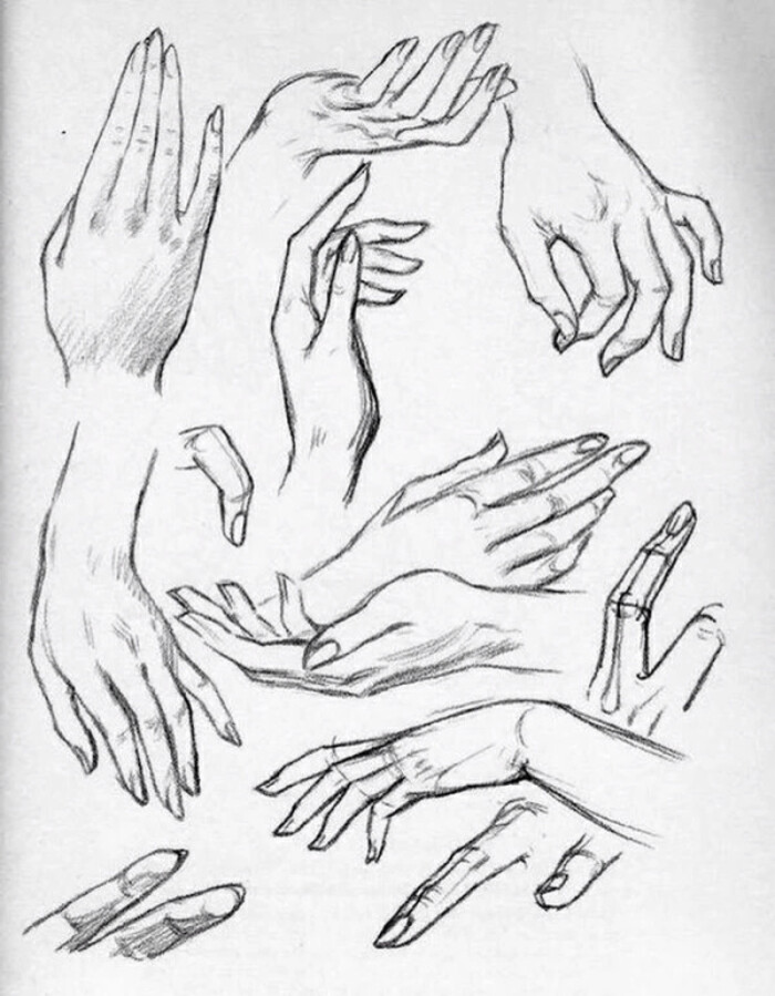 手绘基础教程 #人爪子篇 #手部篇 #最讨厌画人的爪子了 麻烦死了.