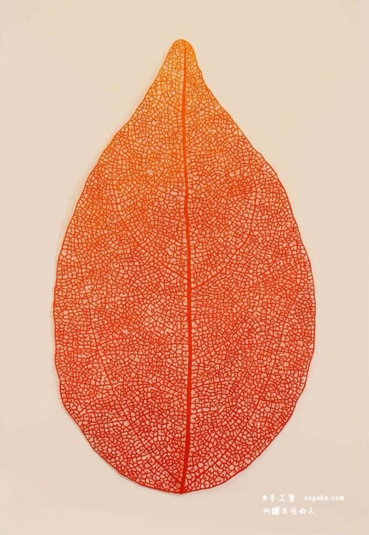 澳大利亚艺术家 meredith woolnough 创作的刺绣作品 ,模仿自然形态的