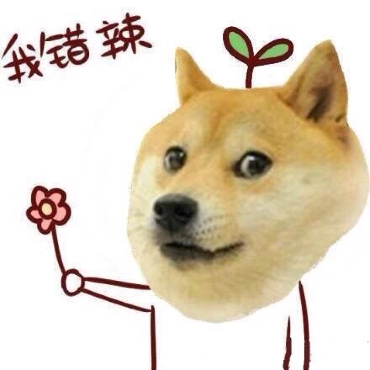 猥琐狗