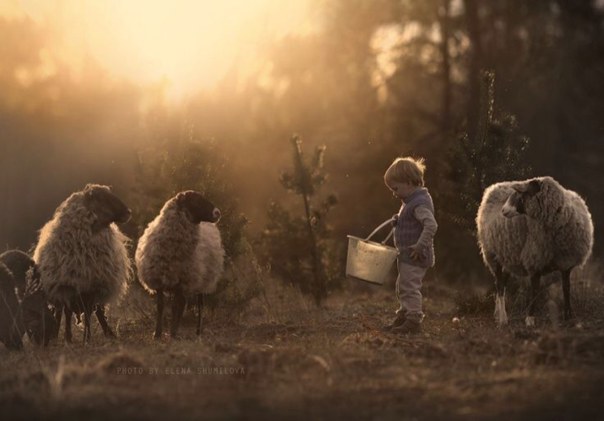 这些照片中孩子和小动物的有爱互动,再配上唯美的田园风光,仿佛带人