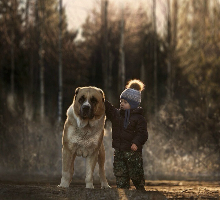 女摄影师elena shumilova记录下两个儿子和农场里小动物相处的有爱
