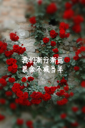 我们渐行渐远,思念不减当年