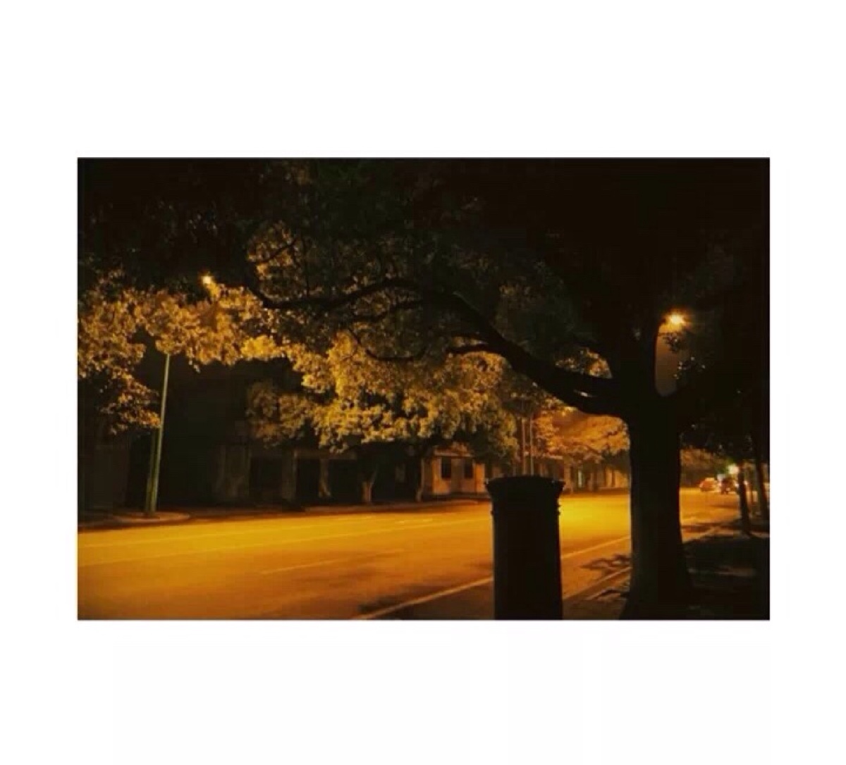 夜晚的街道