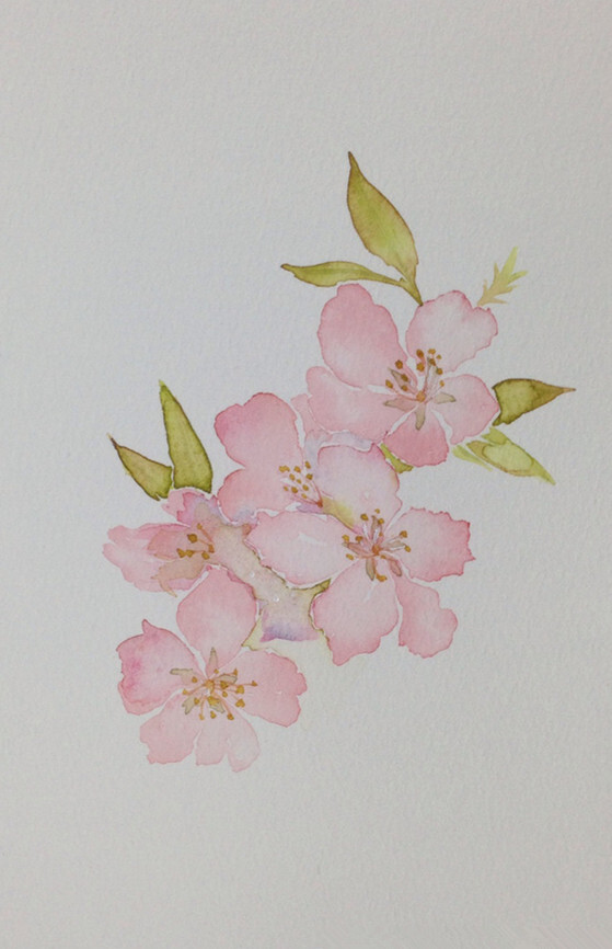 花草,水墨,封面,淡雅,唯美,插画,古风
