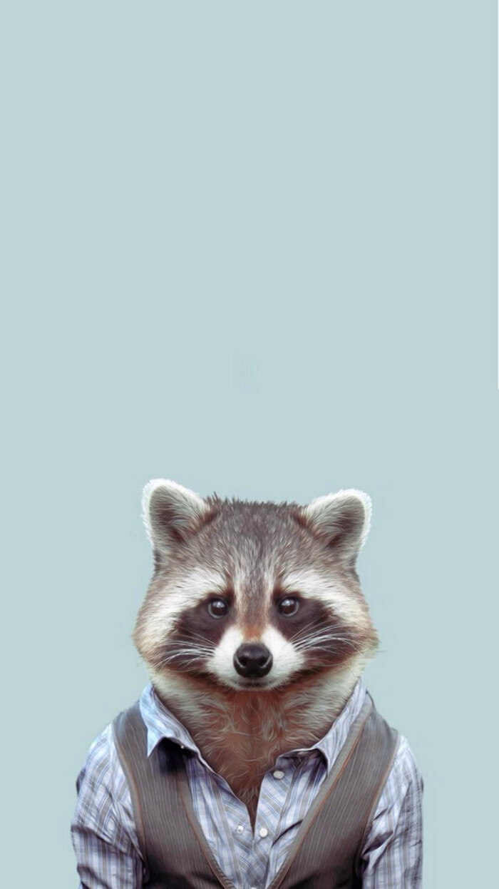 小浣熊 
