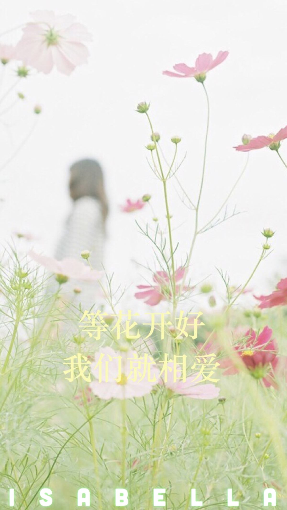 文字 句子 情感 语录 清新 花朵 绿叶 风景 心情 治愈 浪漫 意境 文艺