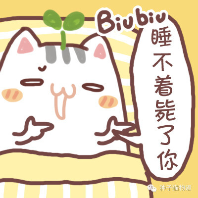 更多表情,壁纸关注微信公众号@种子猫物语 …