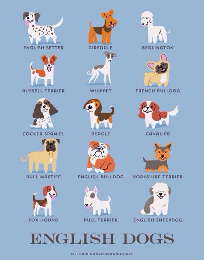 插画家lili chin把全球超过192个狗狗品种,按照发源地绘制成可爱的