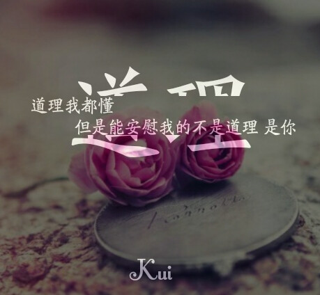 道理我都懂,但是能安慰我的不是道理,是你