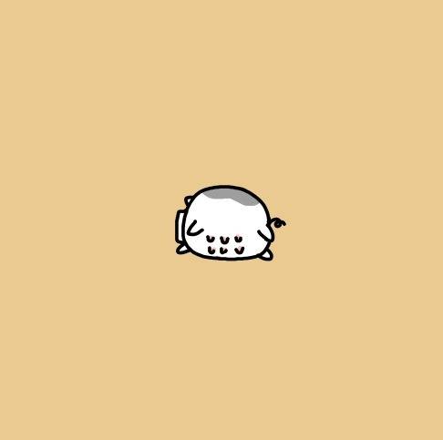 小花猪头像(图片来自微博@大绵羊bobo)