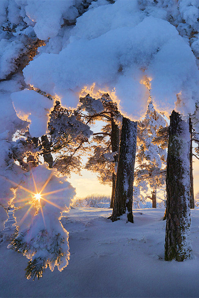 雪景.