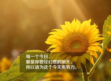 时间可以积累,也可以浪费,你用时间做什么事,就会成为什么样的人,一个