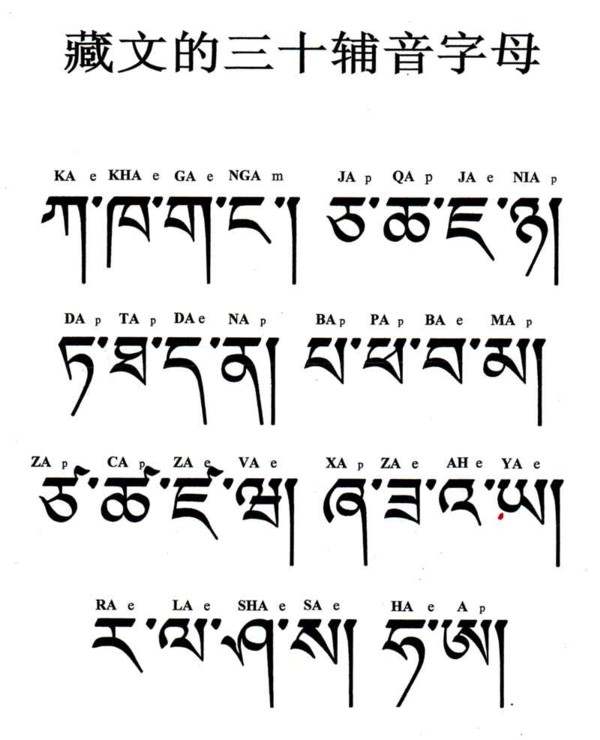 藏文的三十辅音字母