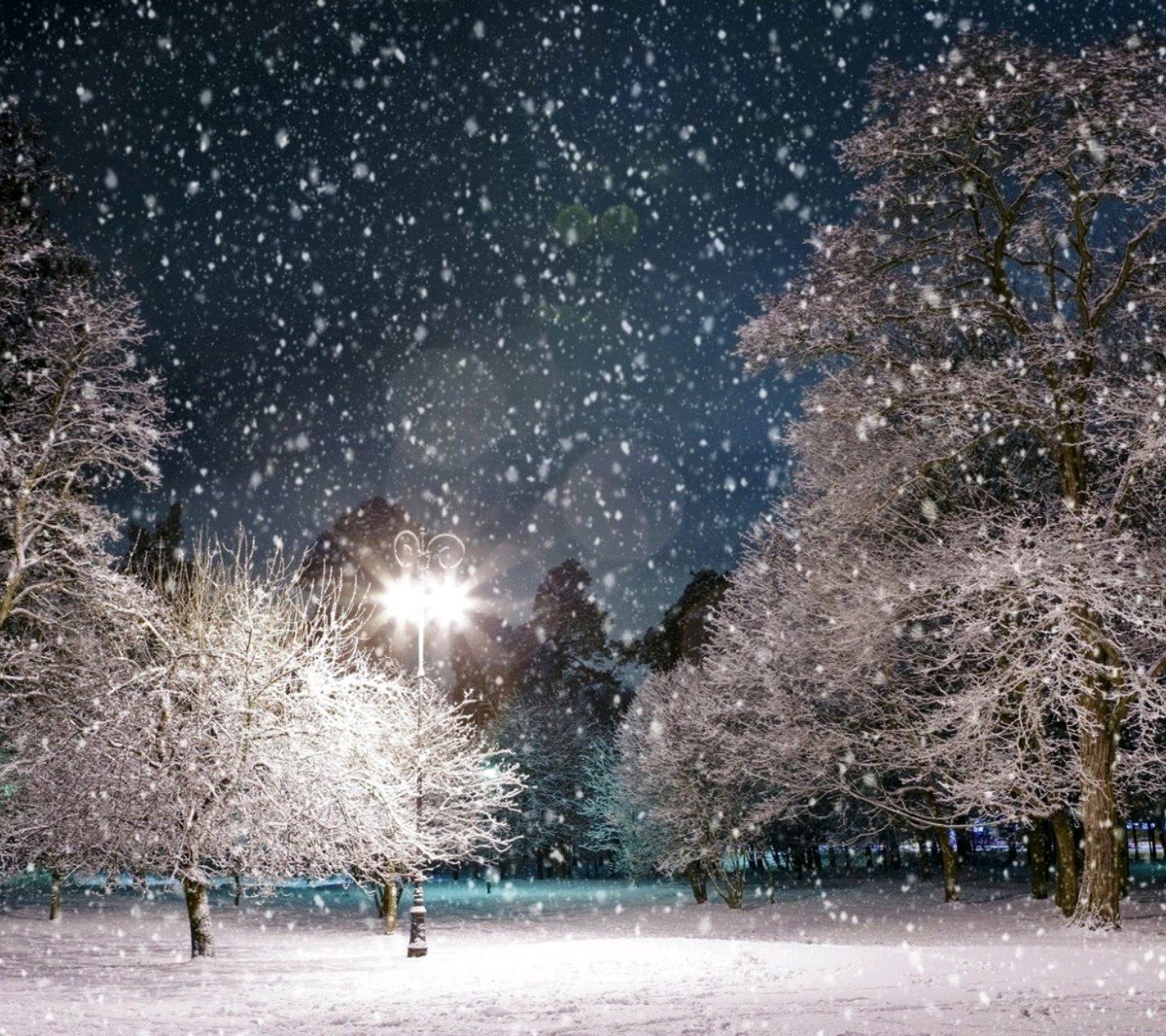 雪夜,森林,熠熠闪亮的路灯柱,仿佛冬夜的纳尼亚灯柱野林