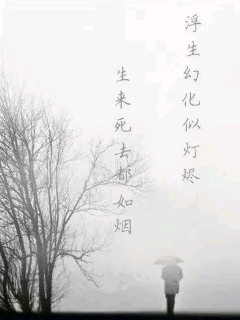 唯美诗句—浮生幻化似灯烬,生来死去都如烟.