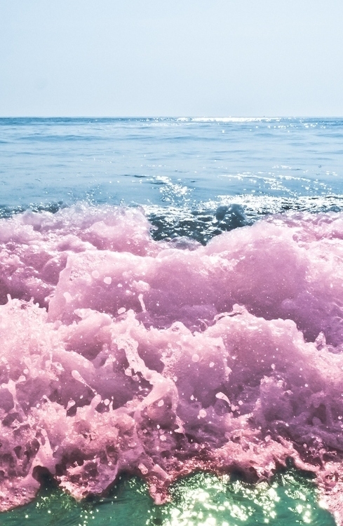 粉色海洋 换不完的手机壁纸.