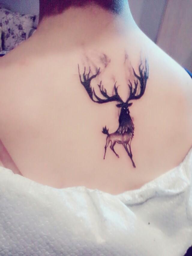 鹿纹身 