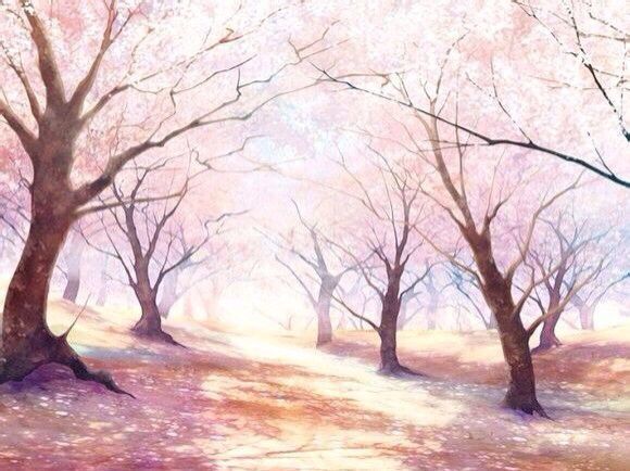 『二次元风景』「花」 sakura pink