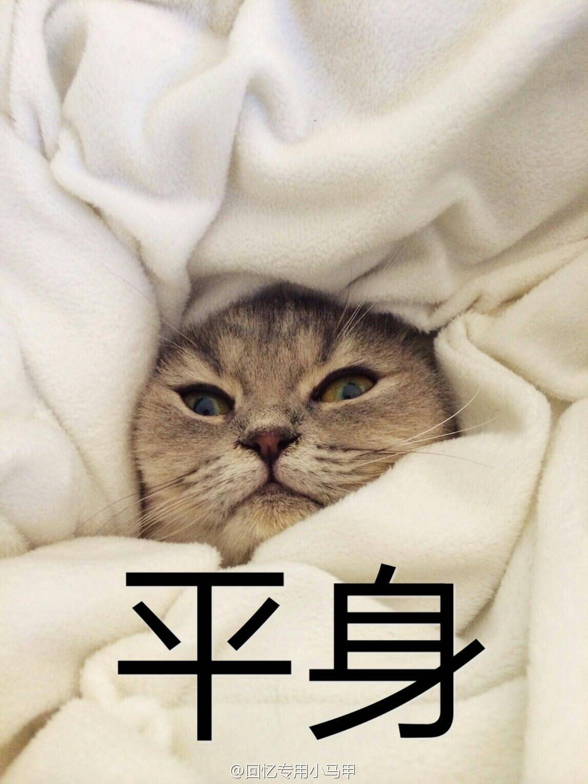 端午豪华表情包