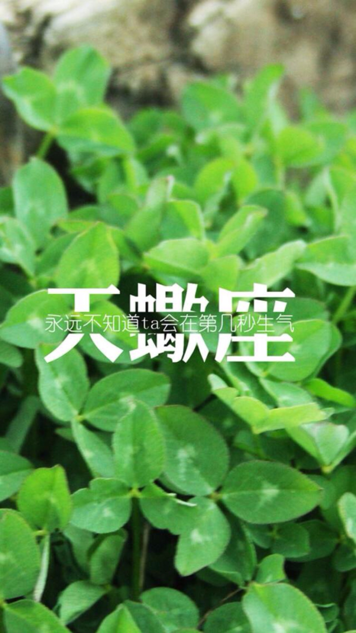 "苹果6"壁纸"文字"星座"天蝎