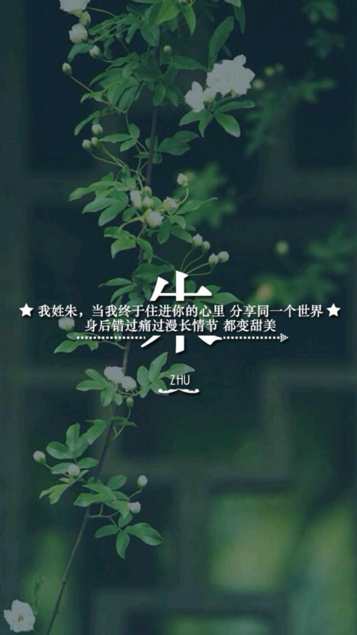 苹果6"文字"壁纸"姓氏