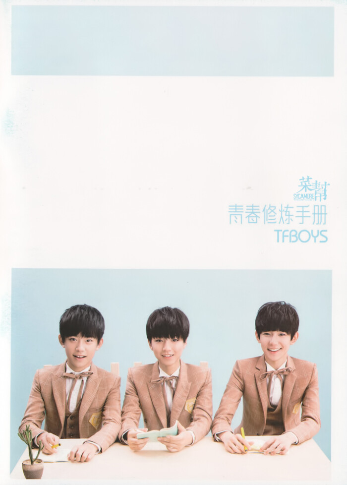 tfboys 王俊凯 青春修炼手册生写.