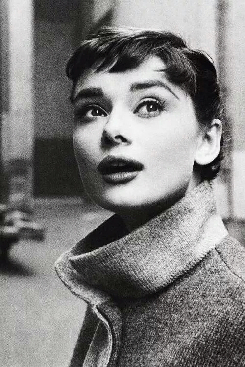 audrey hepburn 奥黛丽·赫本 (ω) 眉目如画