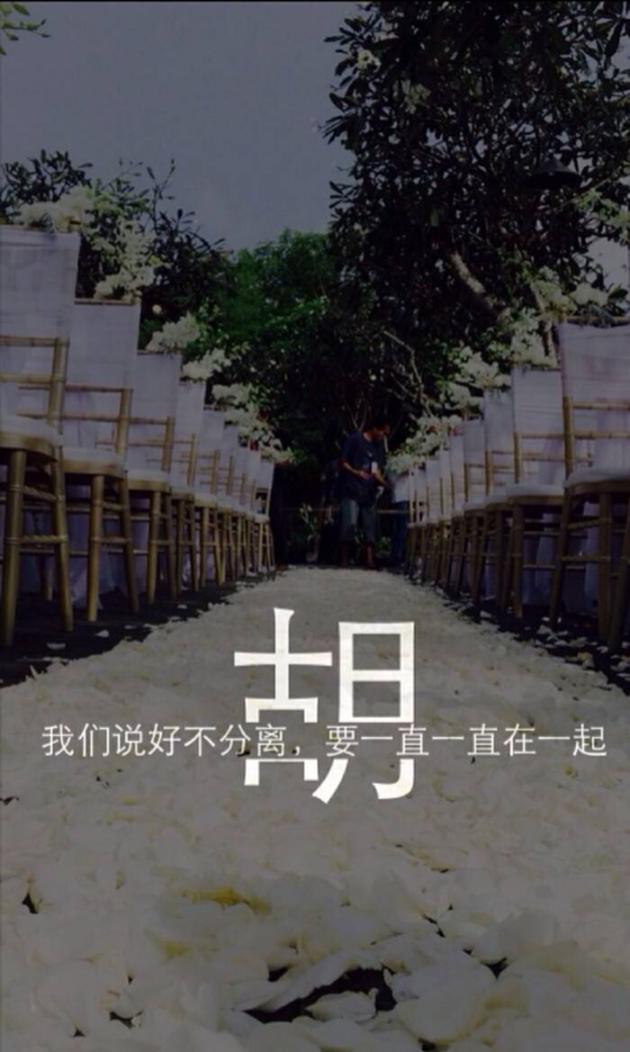胡