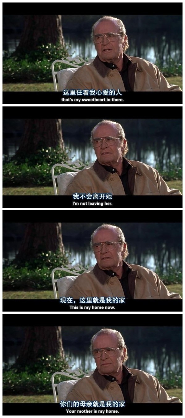 电影《恋恋笔记本》截图