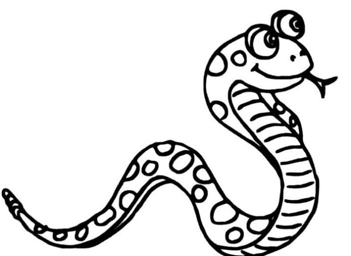 虎和蛇猜一成语是什么成语_疯狂猜成语一个虎头和蛇身子的动物答案(2)