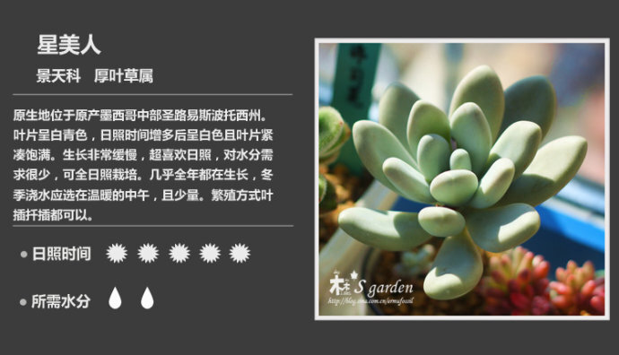 二木花花男的【150种常见多肉植物图鉴】.