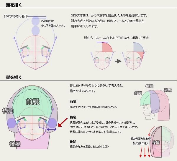 脸型轮廓线: 从下颚边界点处分别向上(颧骨),向下(沿代表脸型的圆做