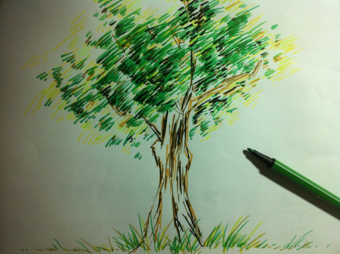 手绘。小树。画画。水彩笔画。水彩。绘画。图