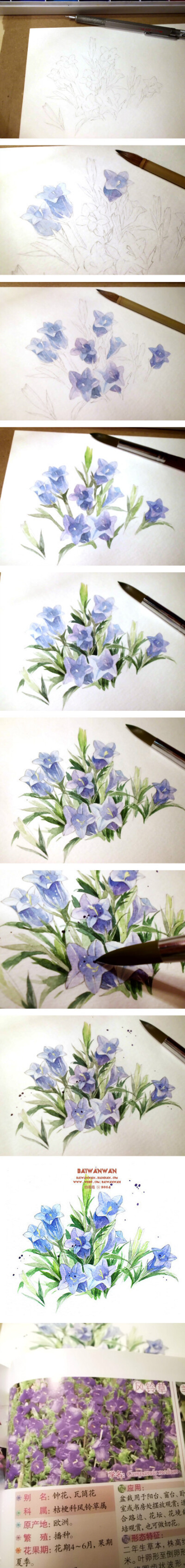 花世界