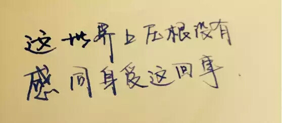 这世上压根没有感同身受这回事