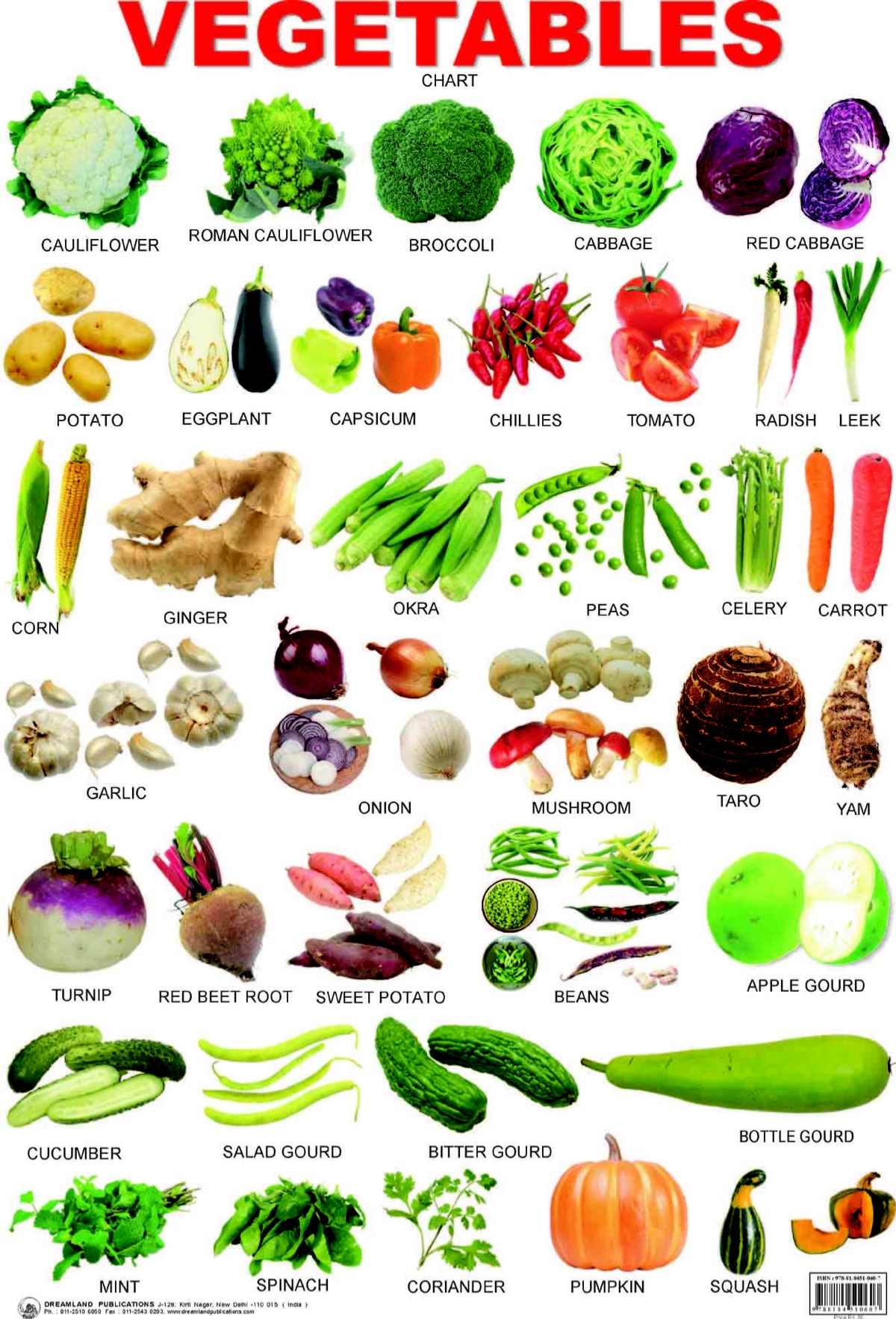 蔬菜vegetables