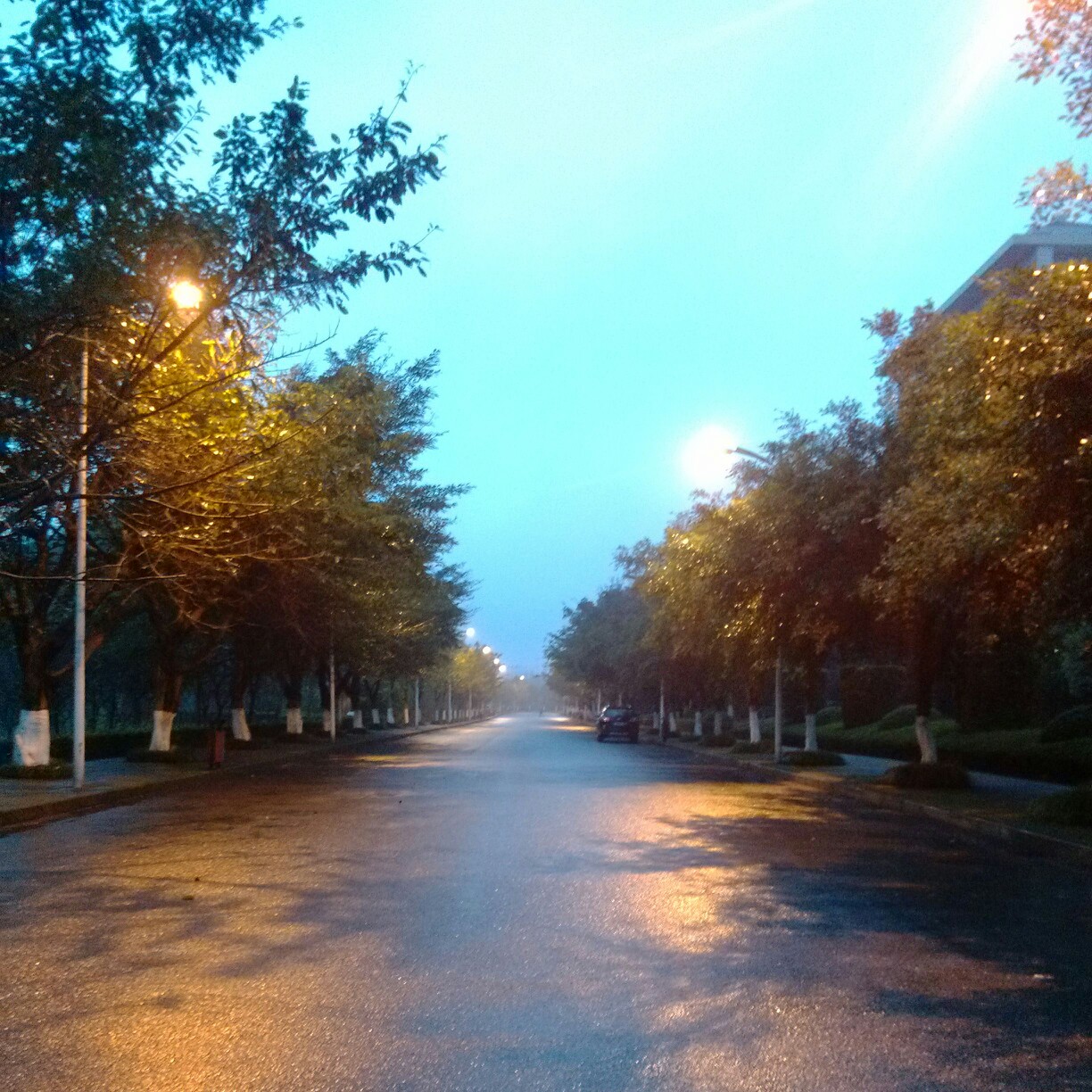 一个人在早上走着.