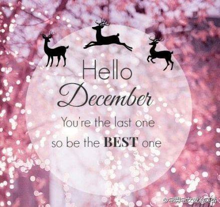 hello december