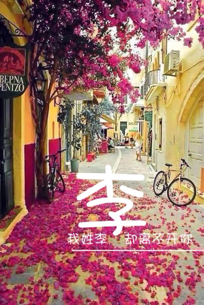 我姓李 