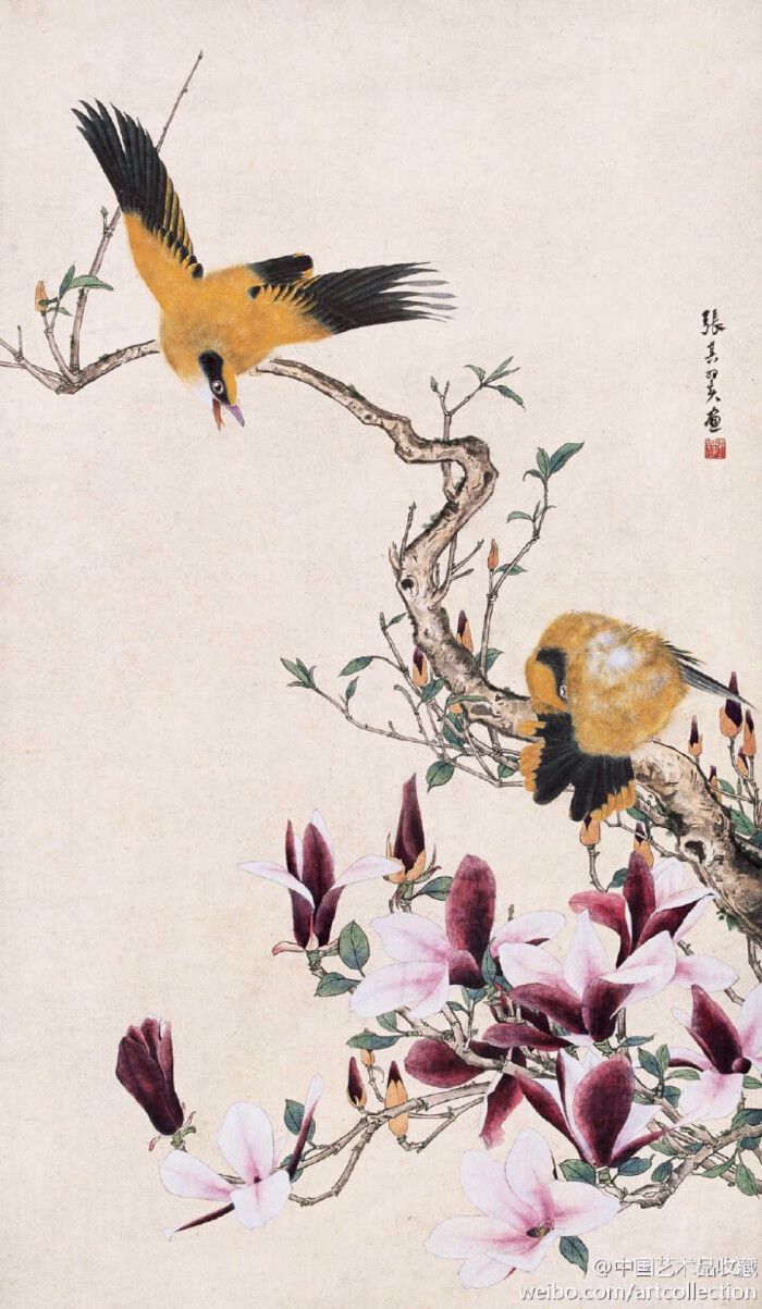 工笔画#【 张其翼 《花鸟图》 】张其翼一生致力于中国画,以搜画花鸟