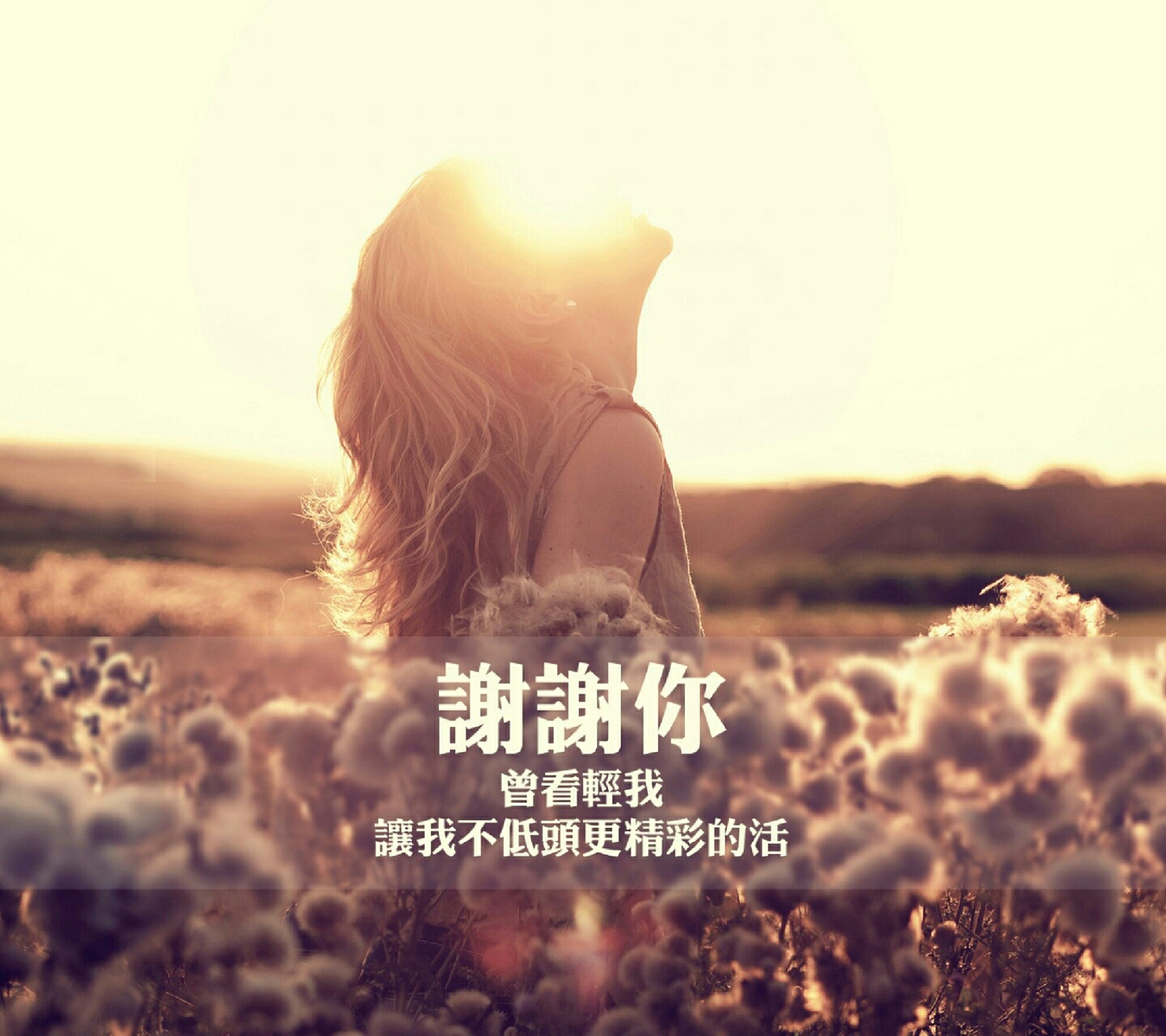 谢谢你!