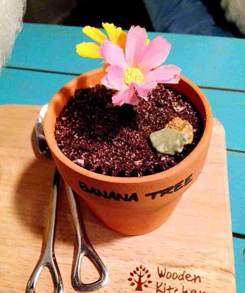 盆栽冰淇淋