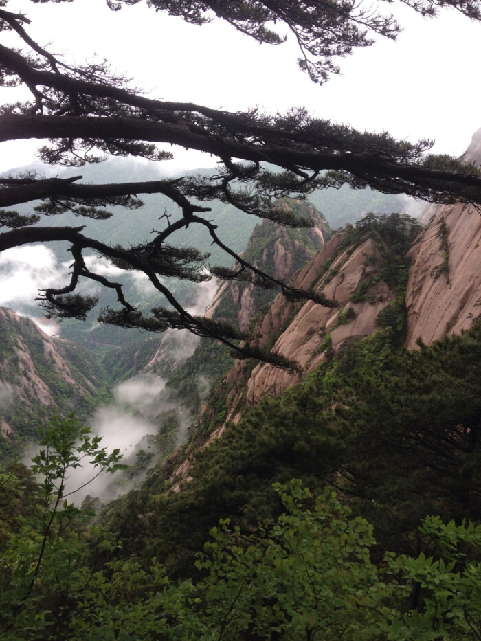 黄山景色实拍