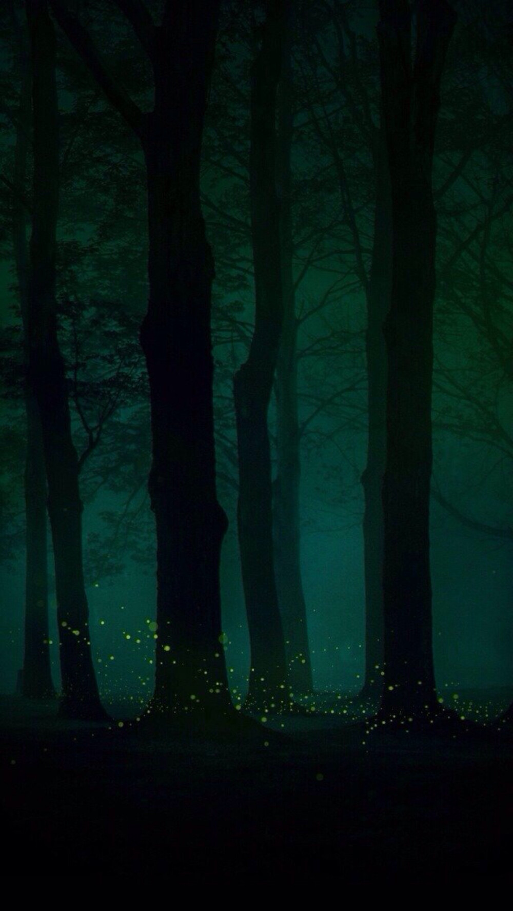 夜间森林 萤火虫