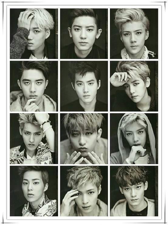 exo 12 